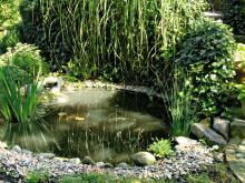 Gartenteich sanieren: Komplett sanierter Teich