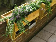 Balkonkasten: Holzkorpus fuer einen Kunststoff-Blumenkasten