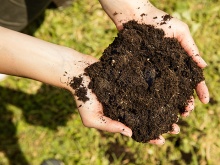Ratgeber Gartenarbeit im Herbst und Winter: Kompost vermischt mit Gartenerde