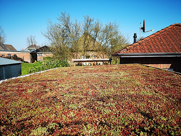 Ratgeber Saris Gartenhaus: Fertig begrüntes Dach 