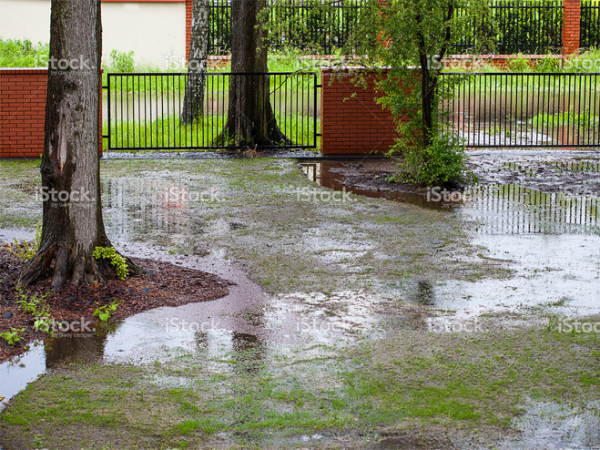 Hochwasser überschwemmter Garten