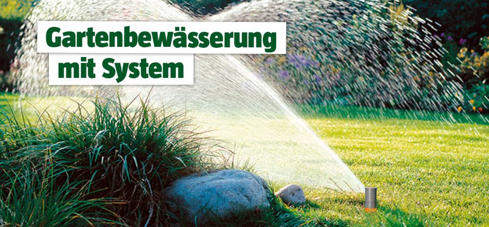 Gartenbewässerung mit System