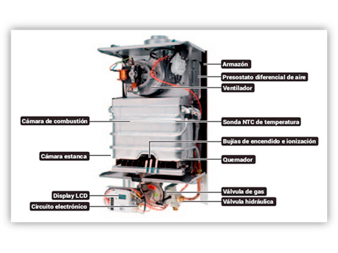 Calentador de Gas Estanco con Kit de Extracción de Humos Incluído (Gas  Butano)