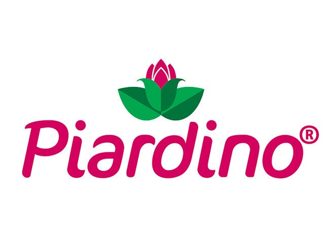 Logo Piardino