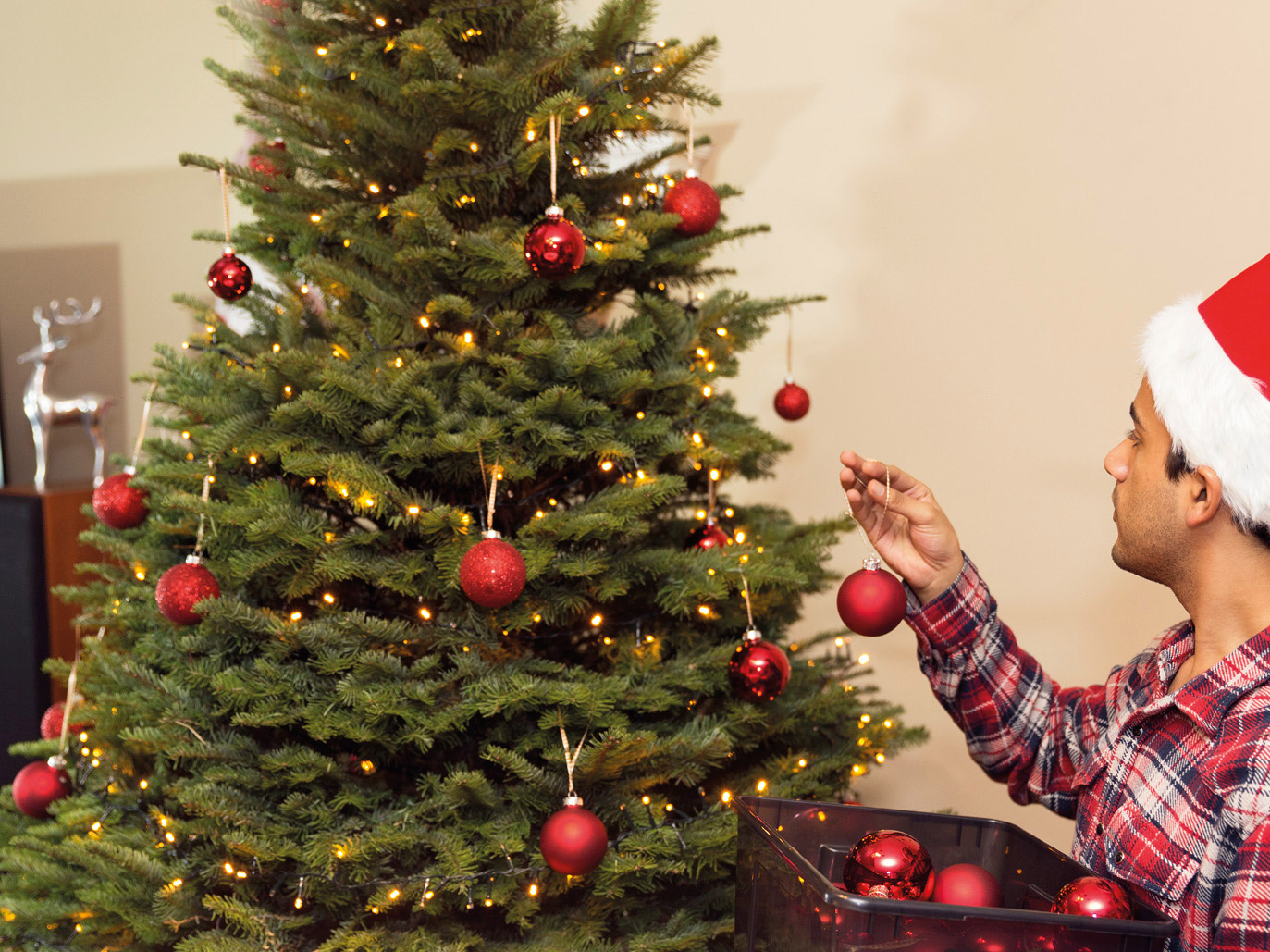 Onderhoudstips voor jouw kerstboom